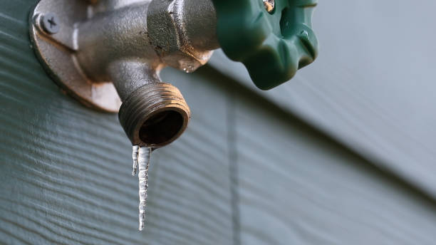 Best Plumbing Services Near Me  in Odessa, FL